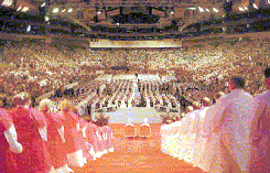tp980613-backshot.gif (23725 bytes)