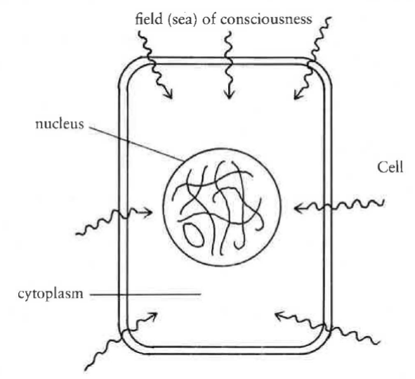 Fig15