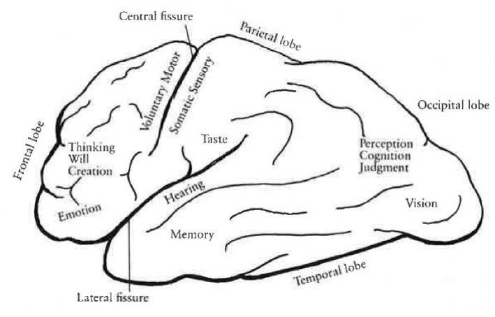 Fig18