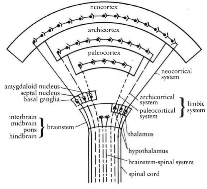 Fig19